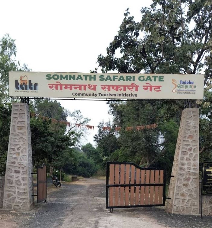 Tadoba Somnath gate