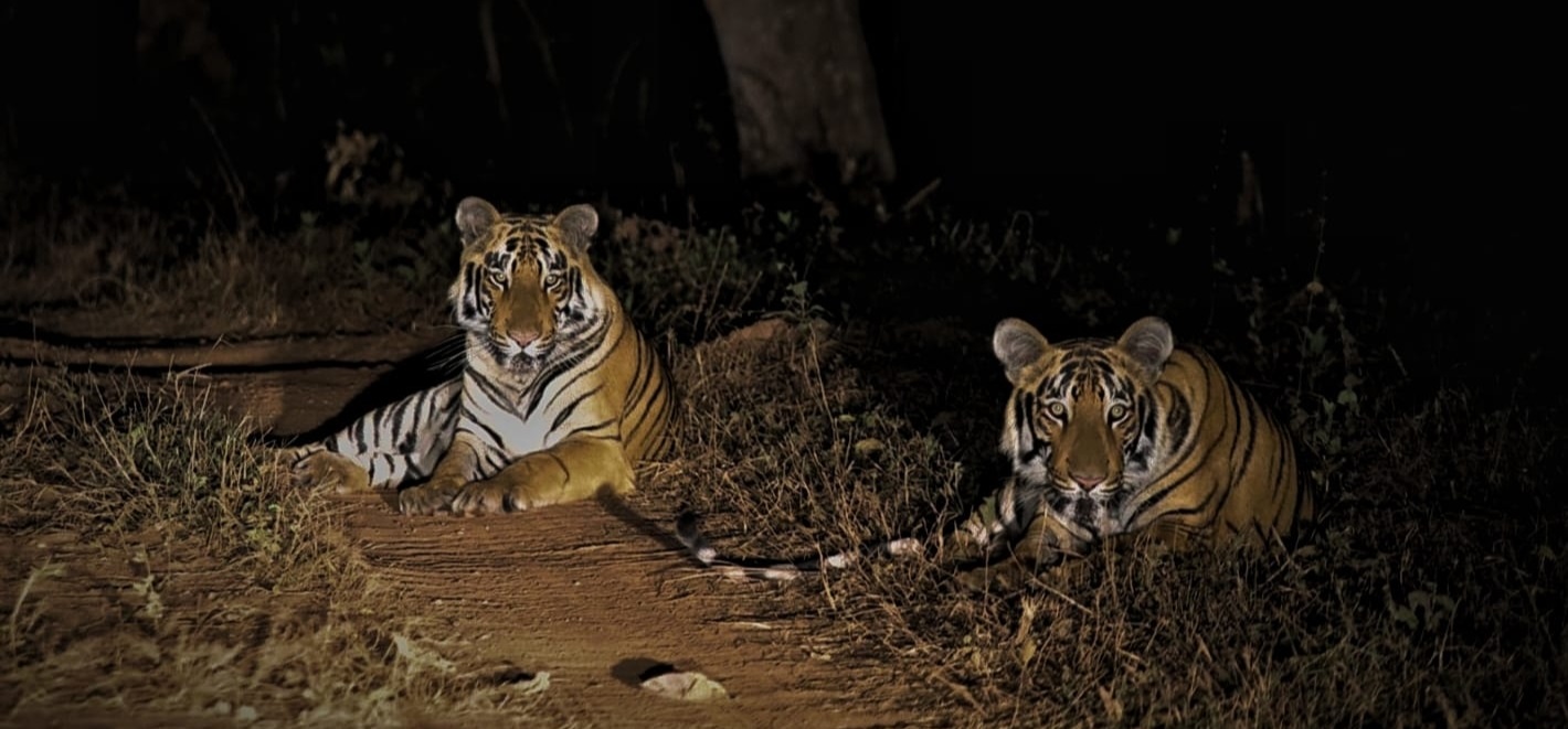 Tadoba Chora gate