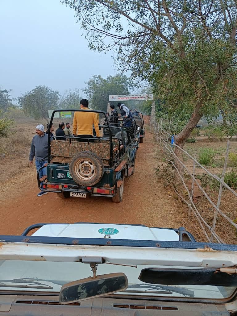 Tadoba Madnapur gate