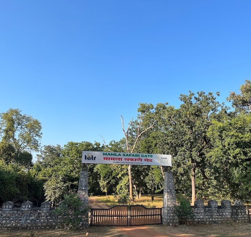 Tadoba Mamla gate