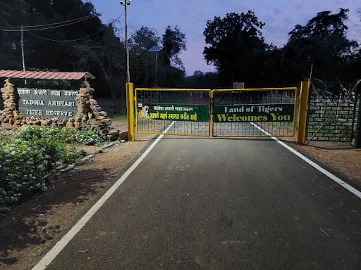 Pangadi And Zari Gates In Tadoba National Park